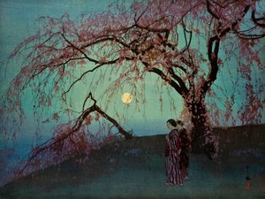 Kumoi-Zakura (Cerezos Kumoi)
